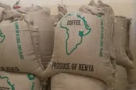 Great Commercial Coffee